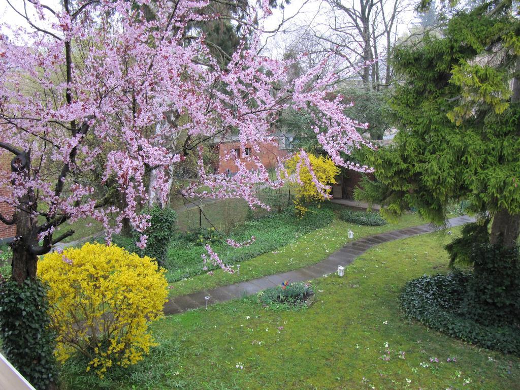 Bed and Breakfast Chez Jean et Daisy Riehen Exterior foto
